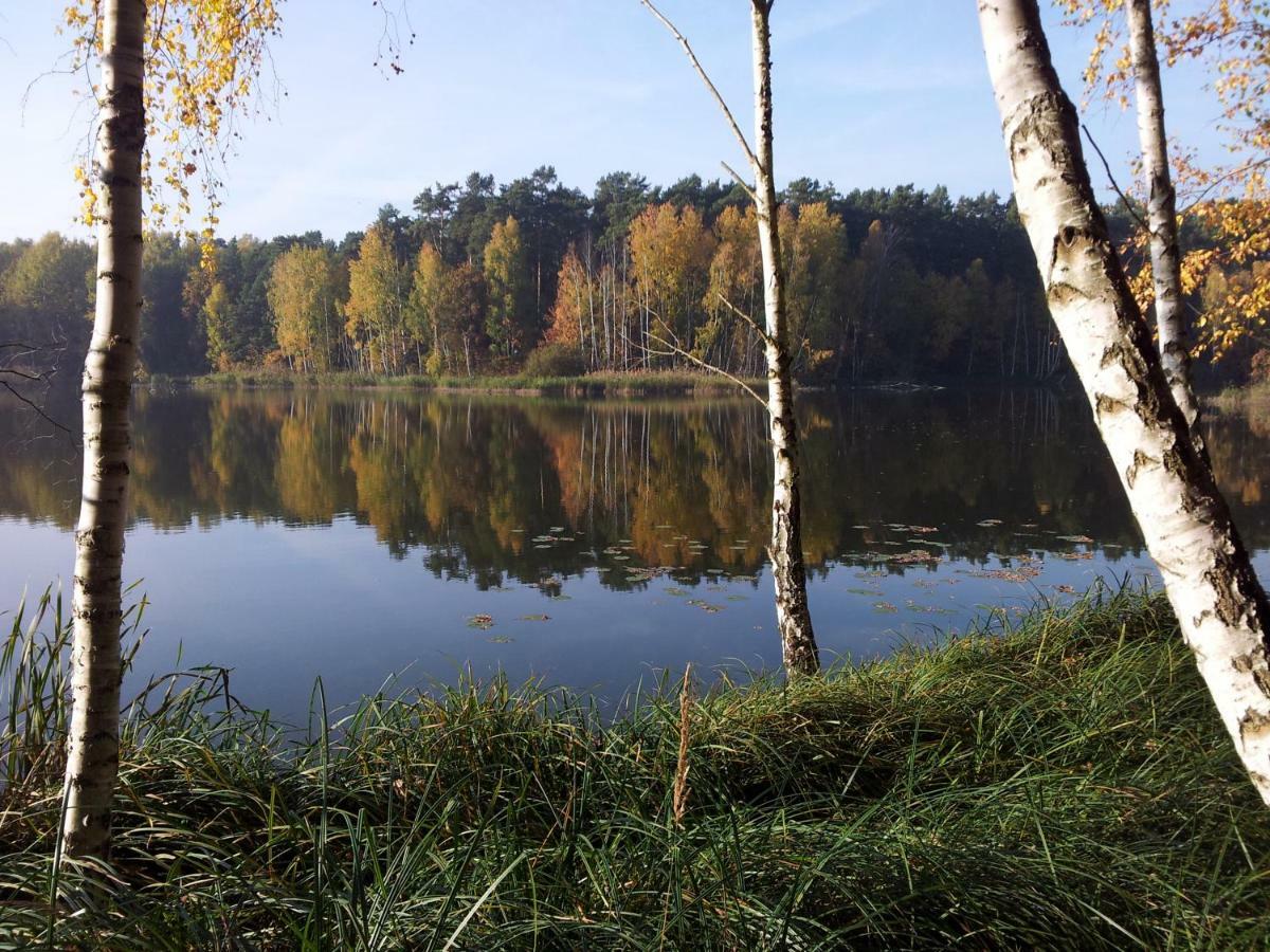 Seeblick Iii Bad Saarow