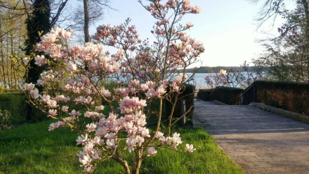 Seeblick Iii Bad Saarow